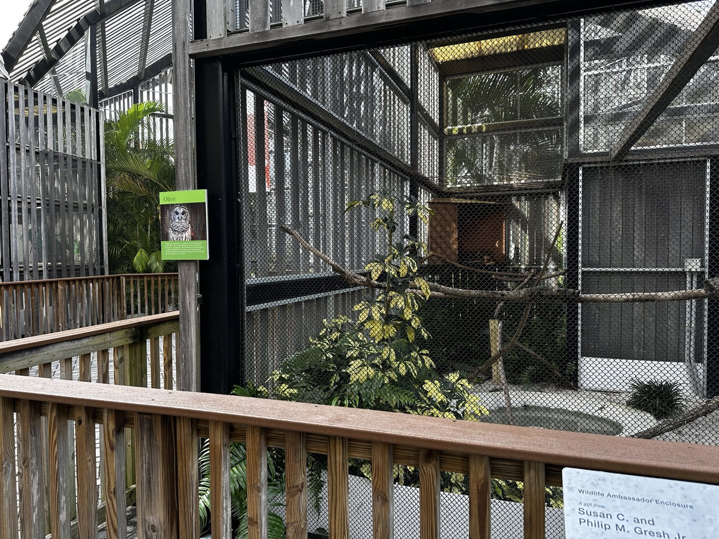 Animal Hospital - Aviary