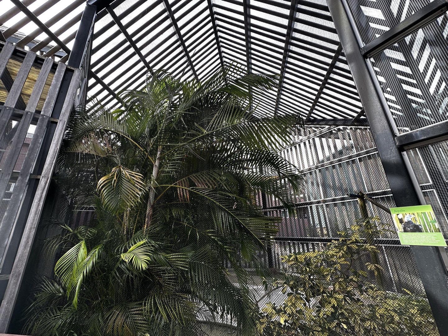 Animal Hospital - Aviary