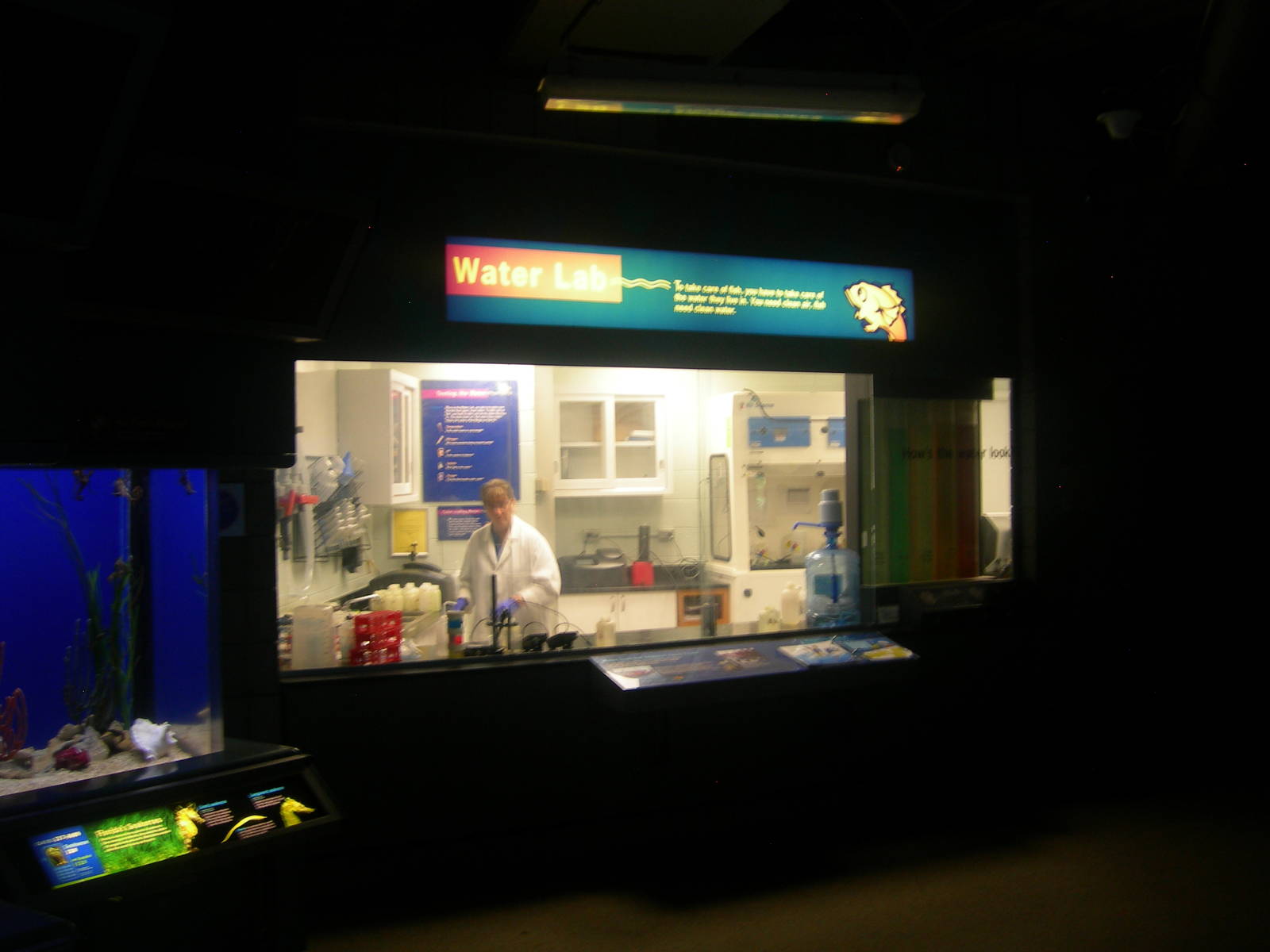 Animal Hospital/Care Center