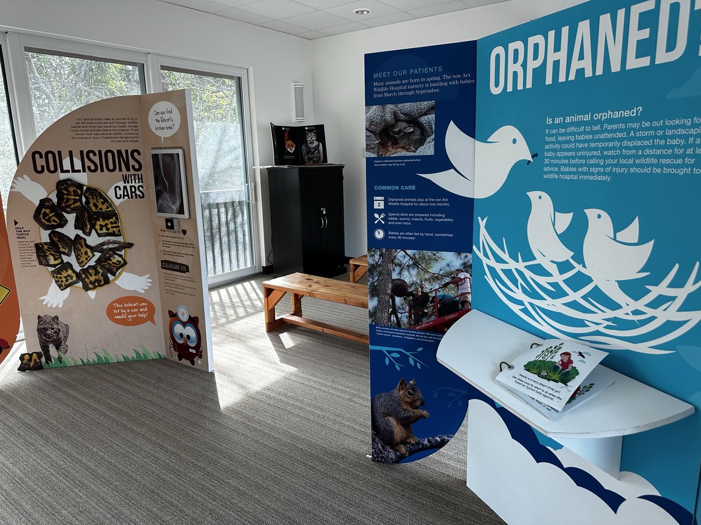 Animal Hospital - Education