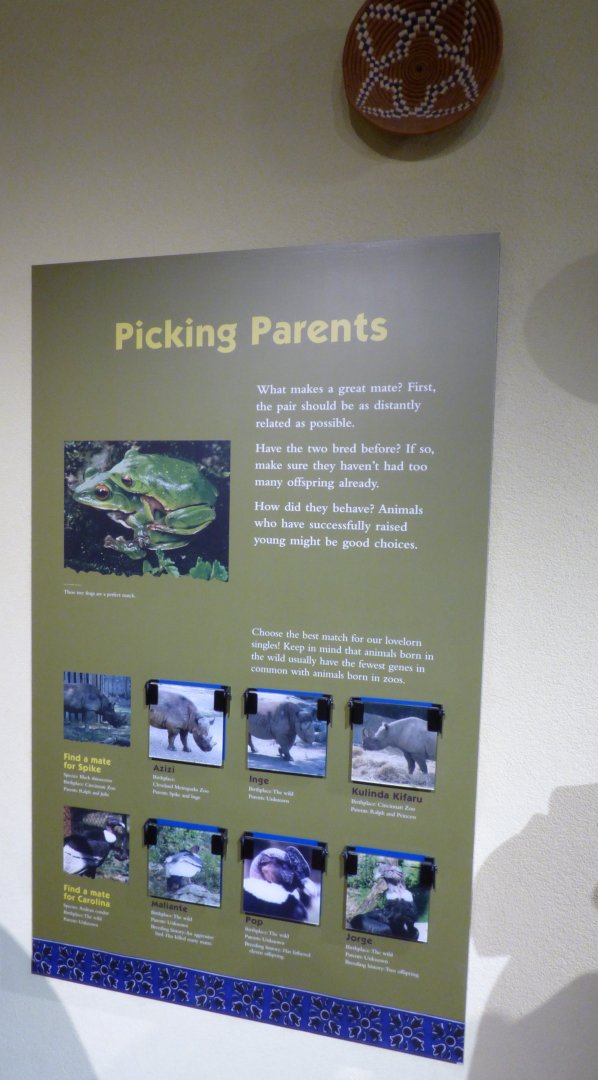 Animal Hospital Graphic