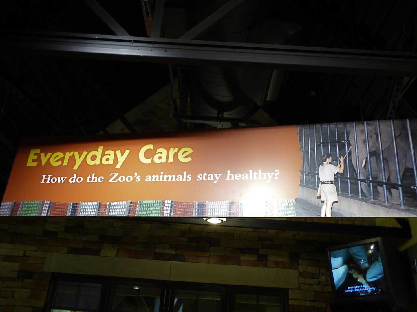 Animal Hospital Graphic