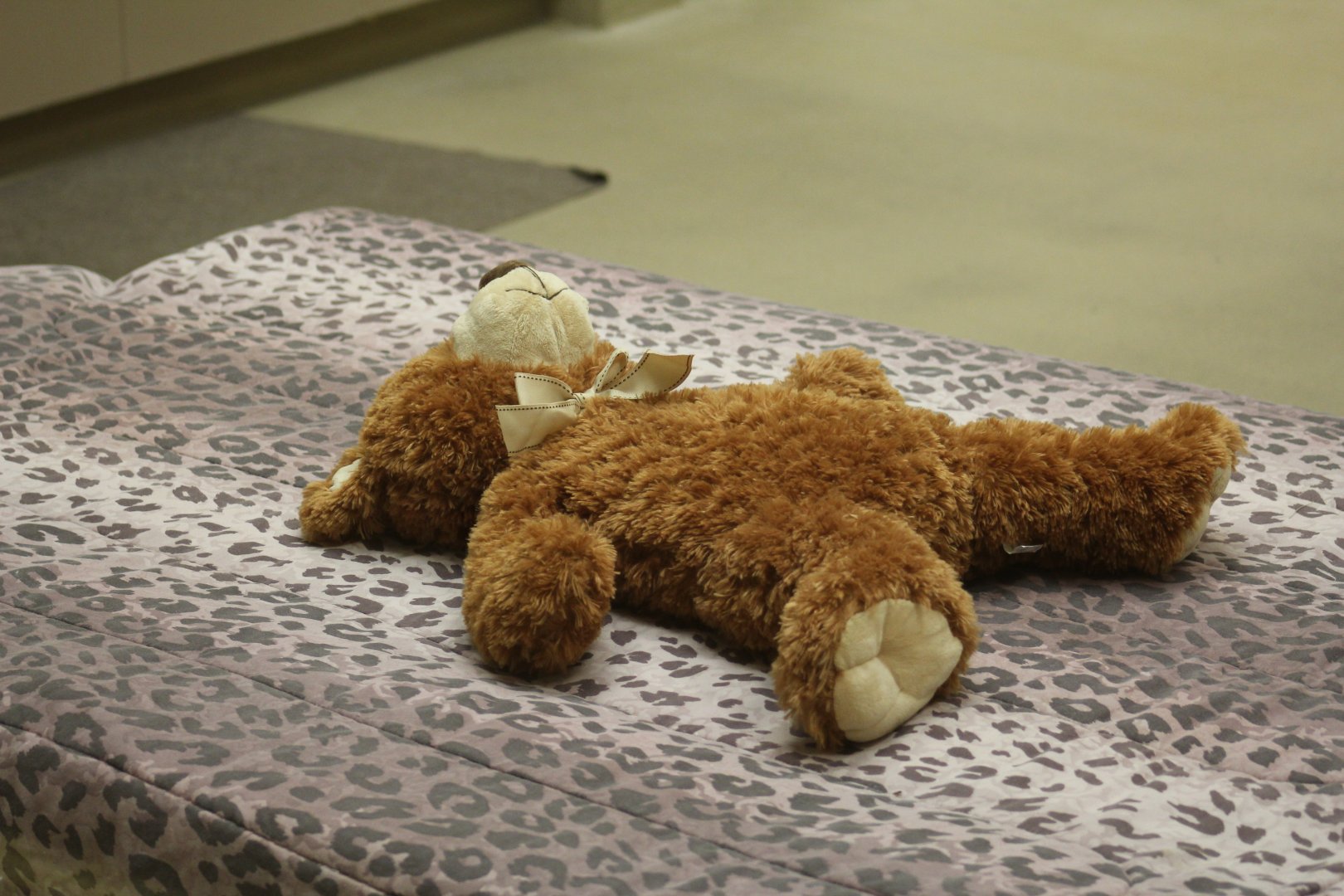 Animal Hospital Patient