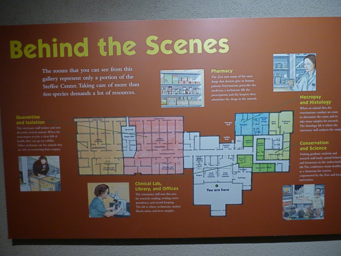 Animal Hospital Signage