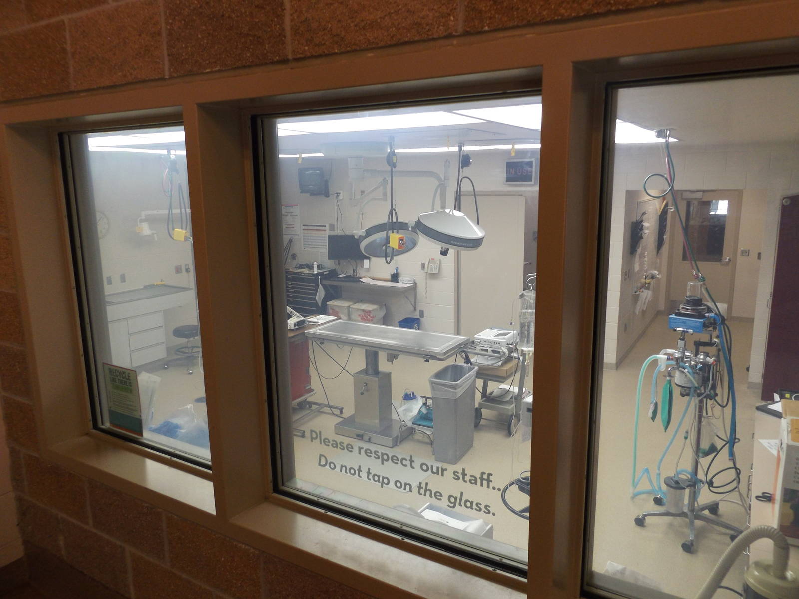 Animal Hospital- Treatment Room