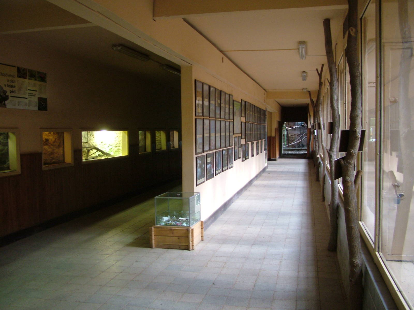 Animal house interior at Plzen, 25/05/10