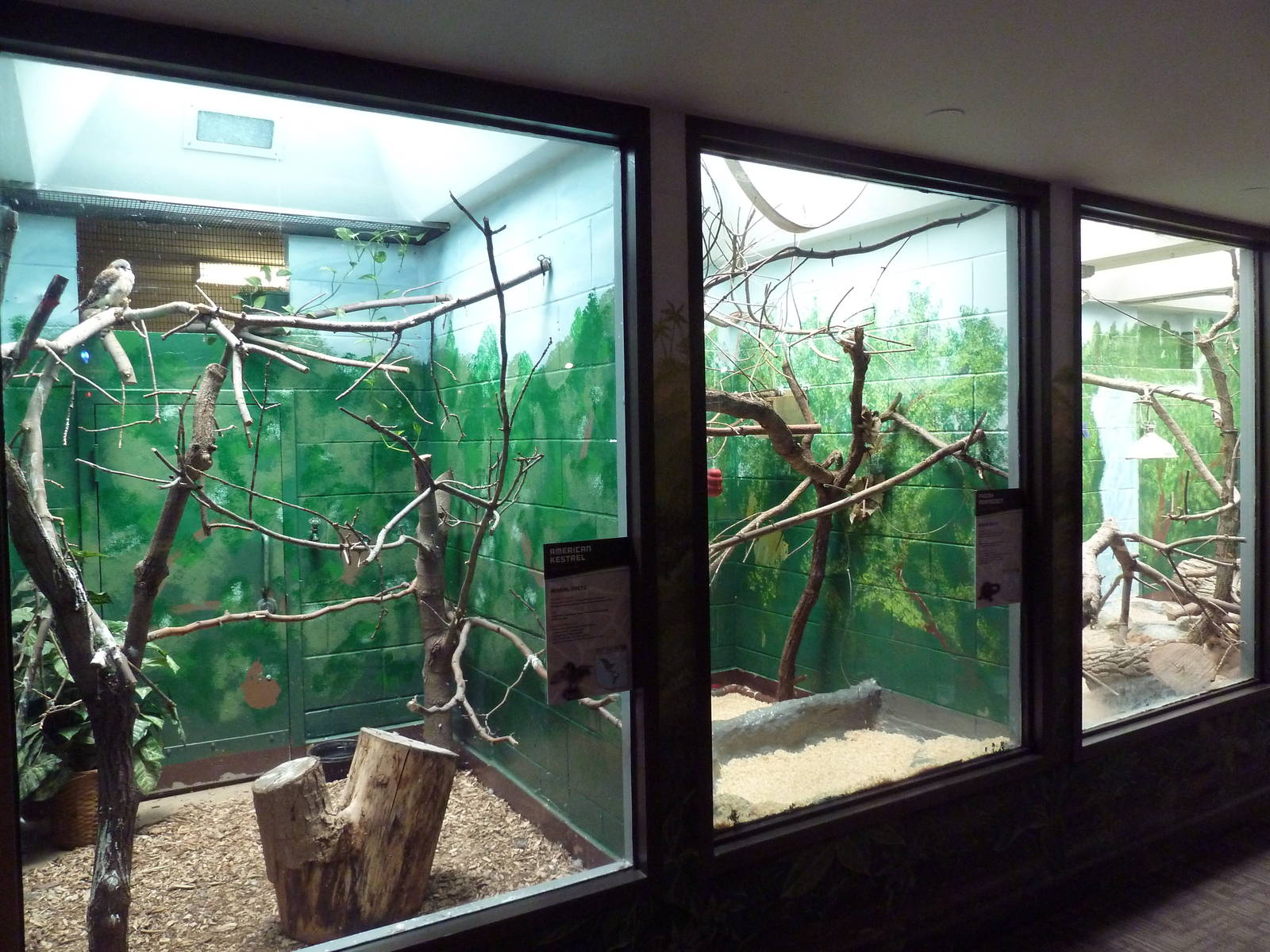 Animal Kingdom Building - Assorted Exhibits