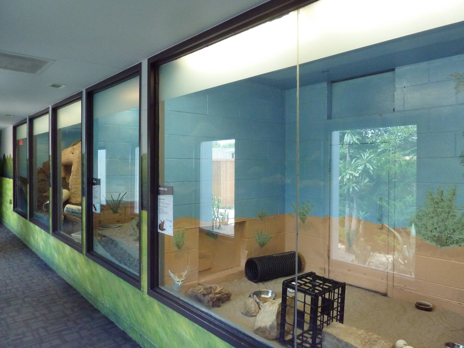 Animal Kingdom Building - Assorted Exhibits