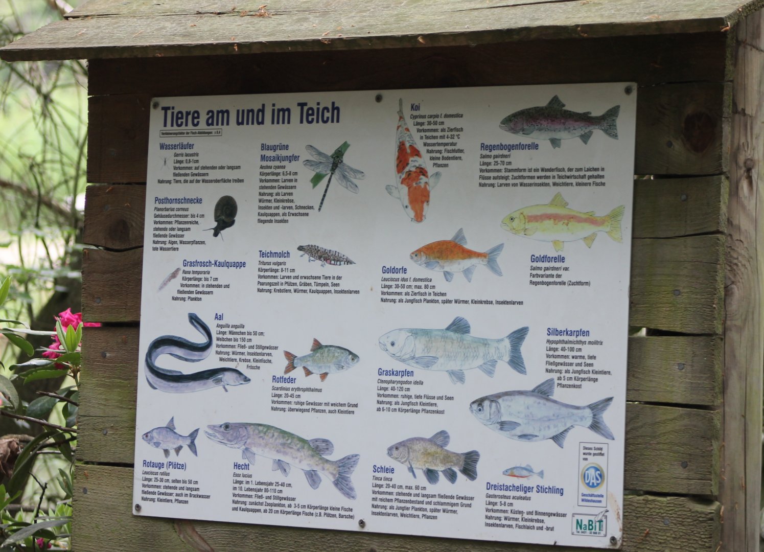 Animal-life at the pond - sign