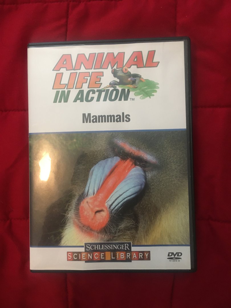 Animal Life in Action - Mammals