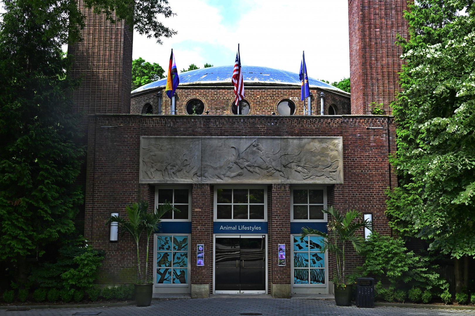 Animal Lifestyles - Exterior