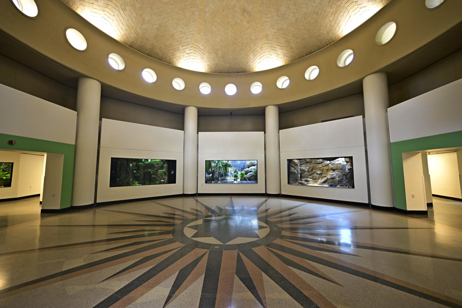 Animal Lifestyles - Interior