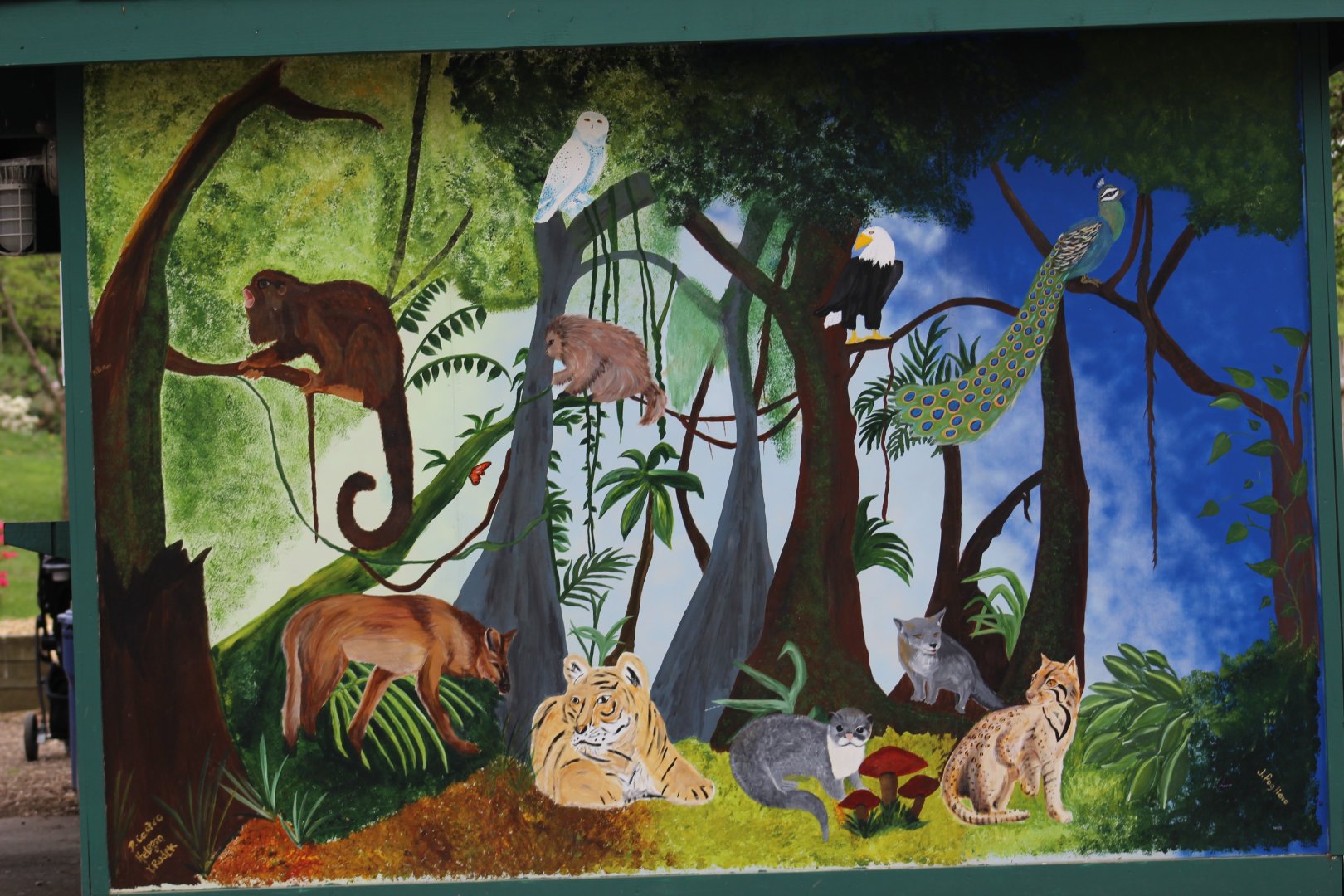 Animal Mural