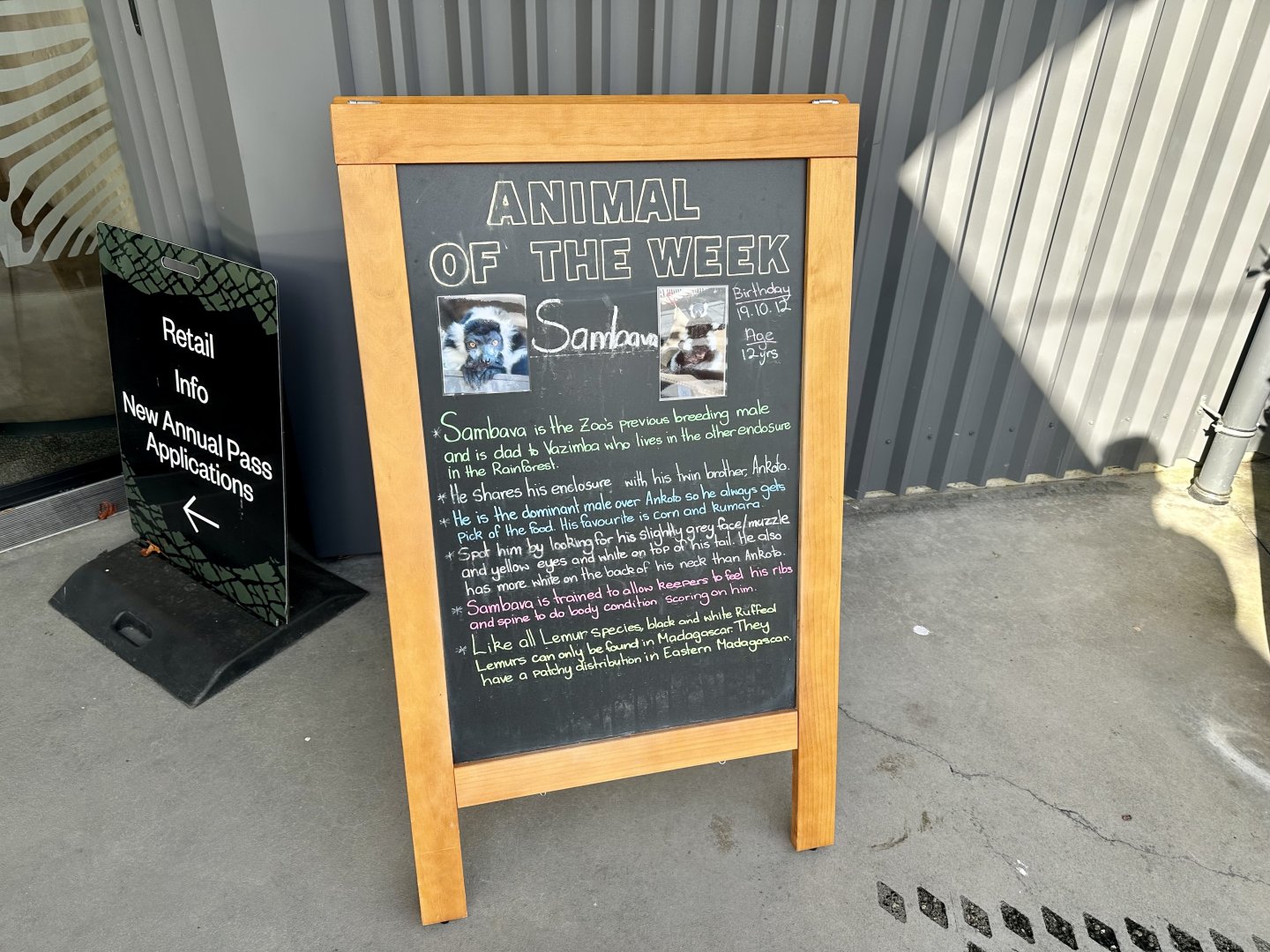 Animal of the Week (Sambava)