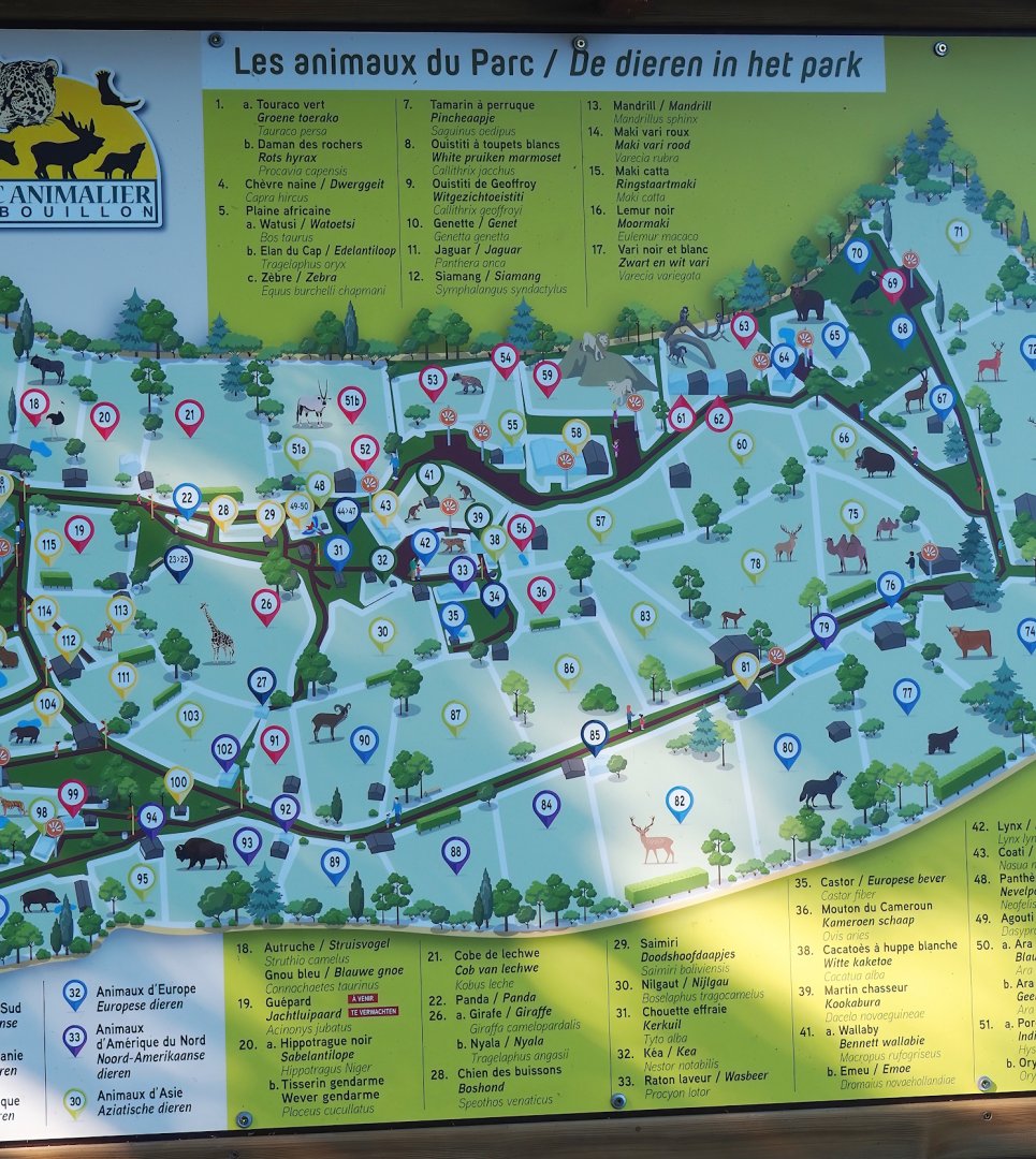 Animal park map, 2023-06-24