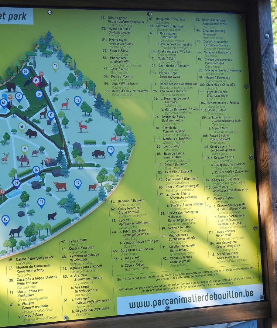 Animal park map, 2023-06-24