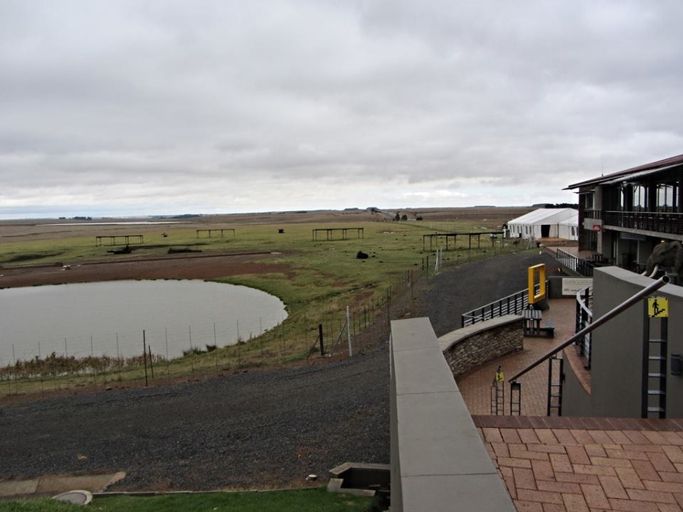 Animal Pasture at Alzu Petroport