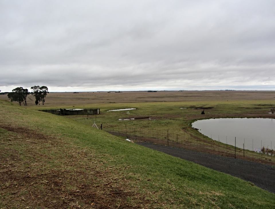 Animal Pasture at Alzu Petroport