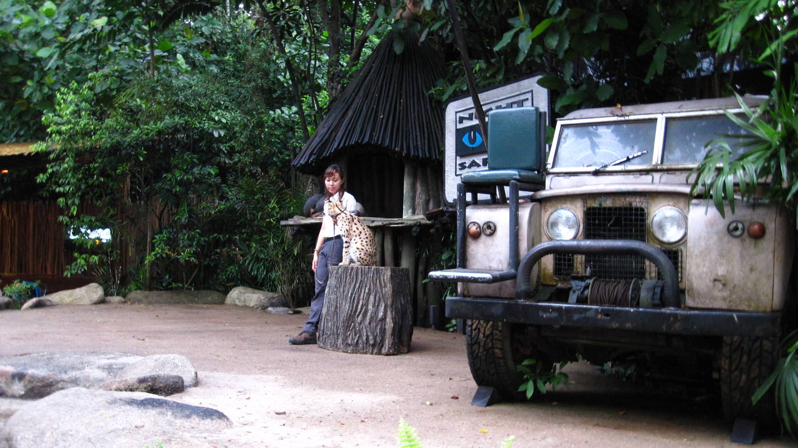 Animal Photography Stage