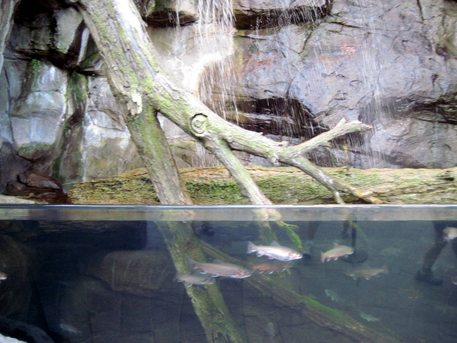 Animal Planet Australia: Wild Extremes-Aquarium