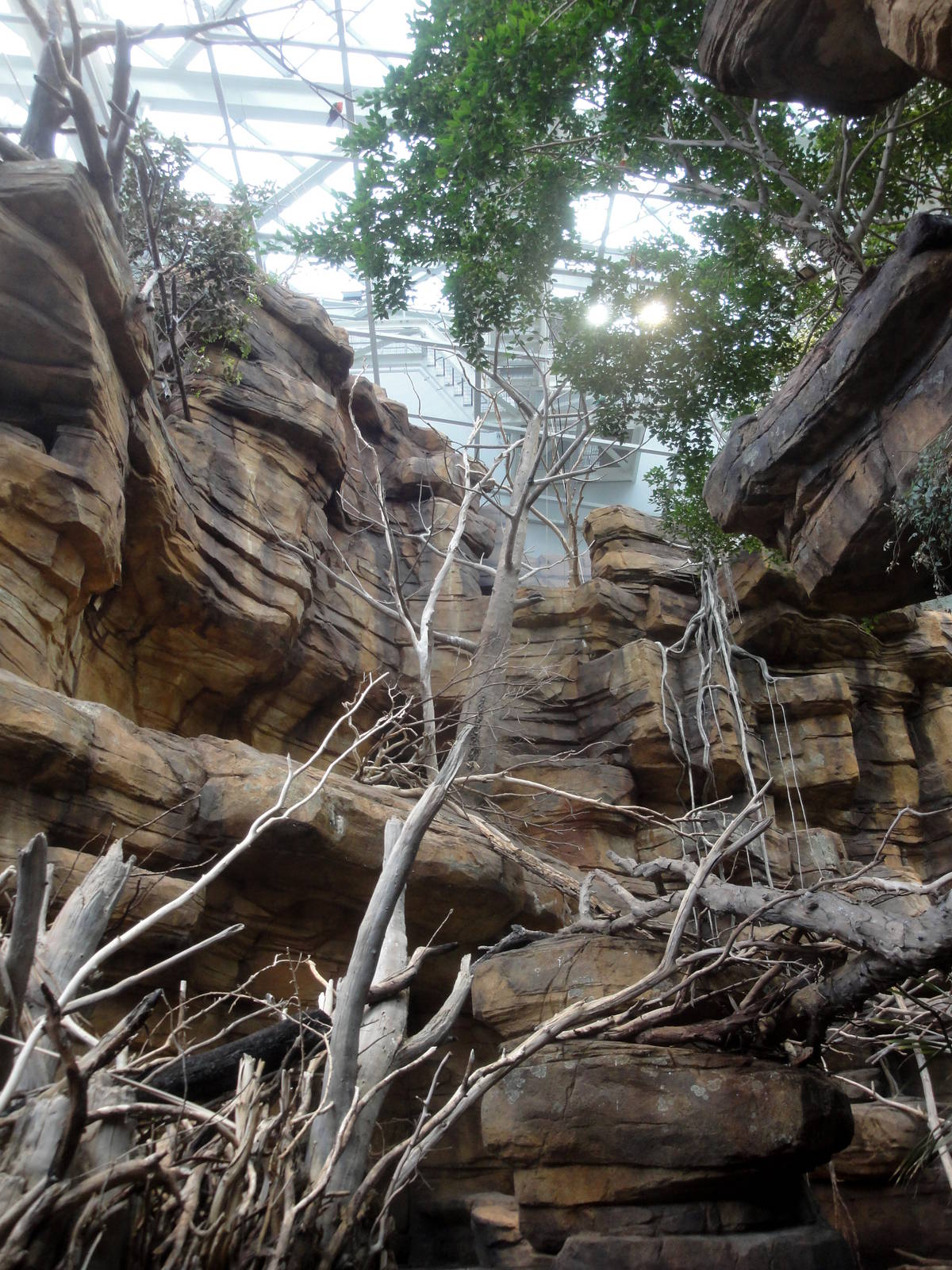 Animal Planet Australia: Wild Extremes Exhibit