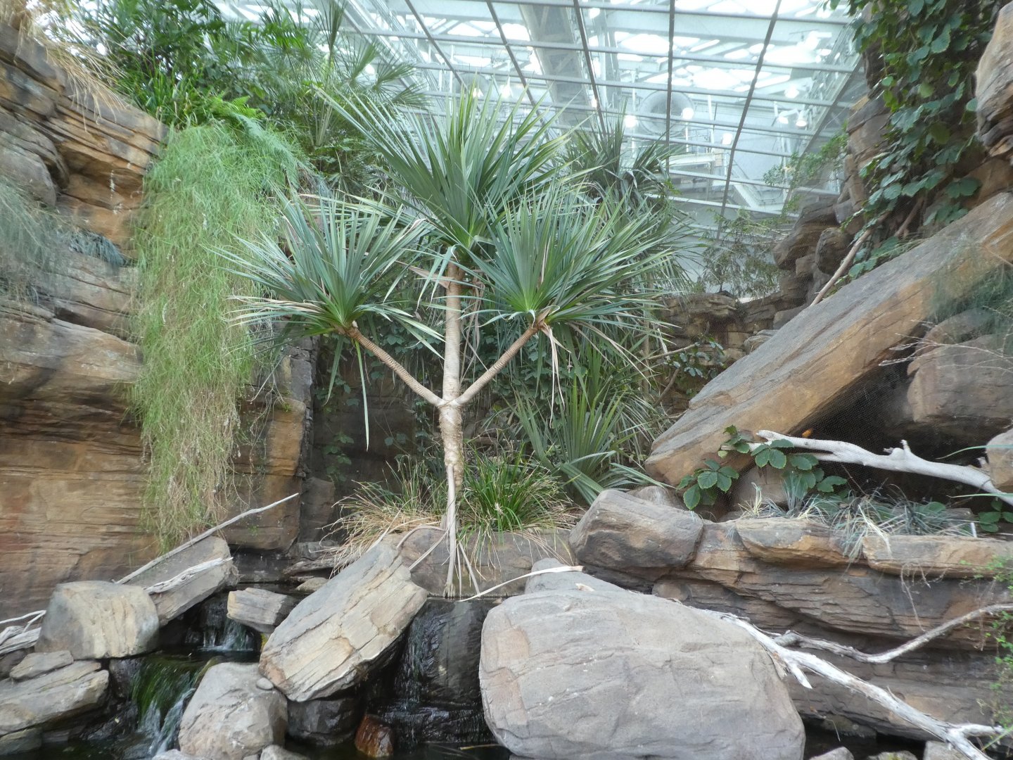 Animal Planet Australia: Wild Extremes - General View