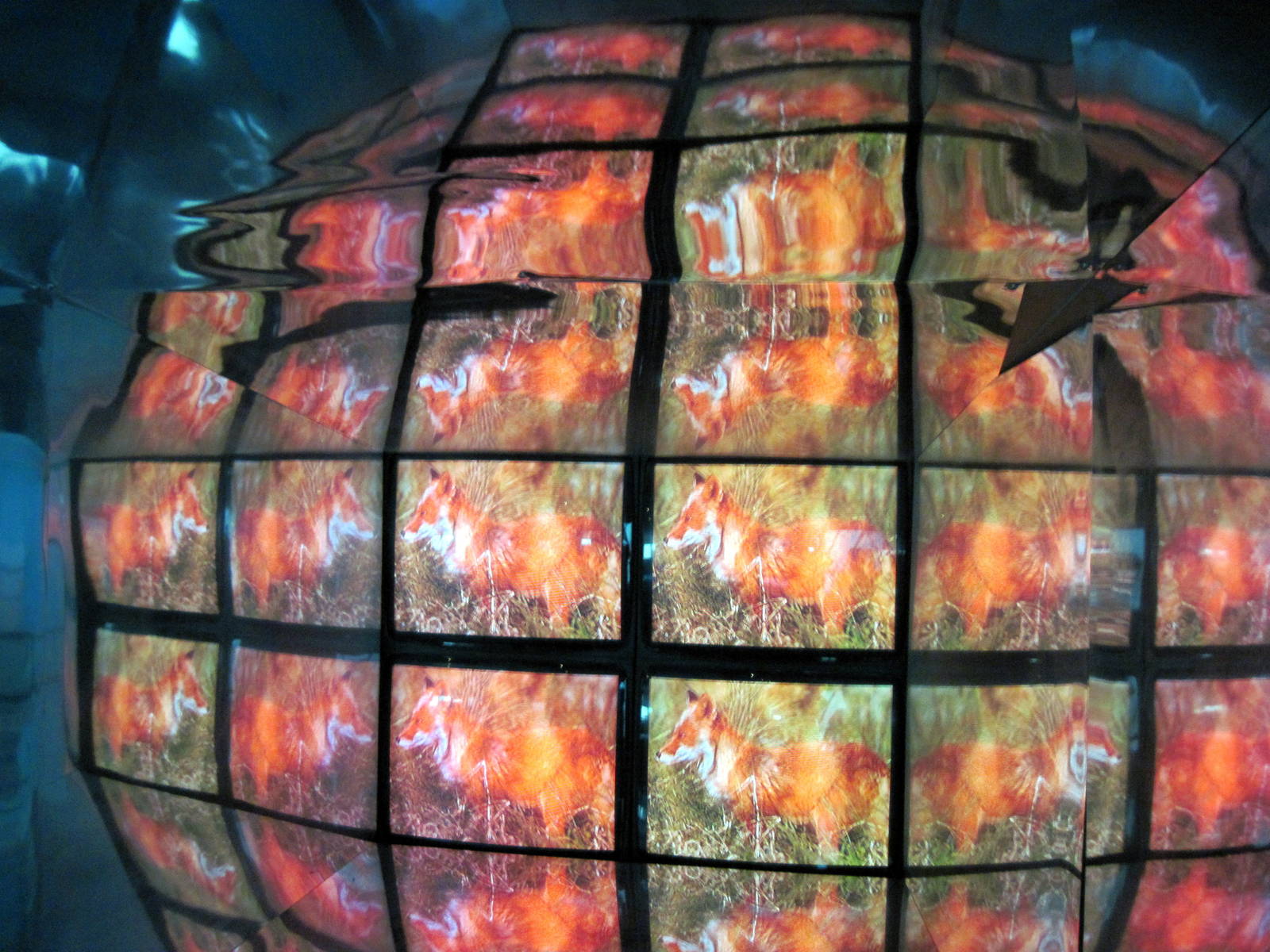 Animal Planet Australia: Wild Extremes-Television Screens