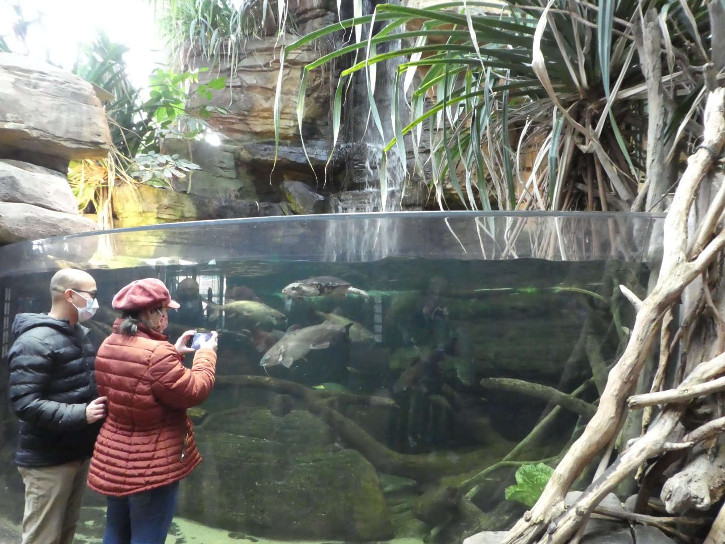 Animal Planet Australia: Wild Extremes - Turtle, Fish Exhibit