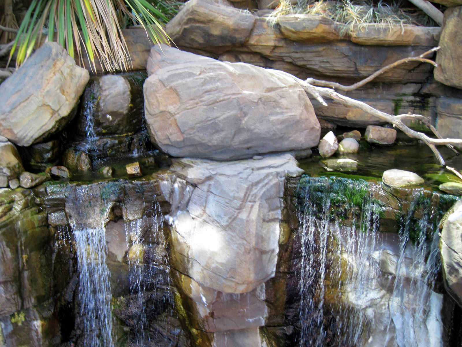 Animal Planet Australia: Wild Extremes-Waterfall