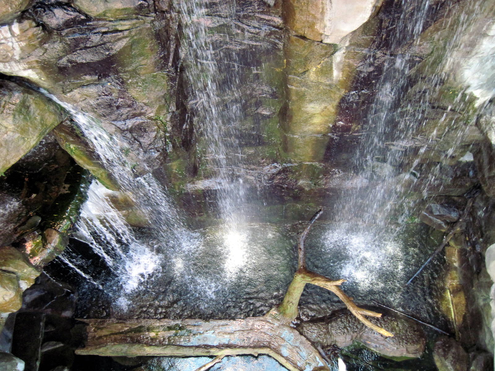 Animal Planet Australia: Wild Extremes-Waterfall