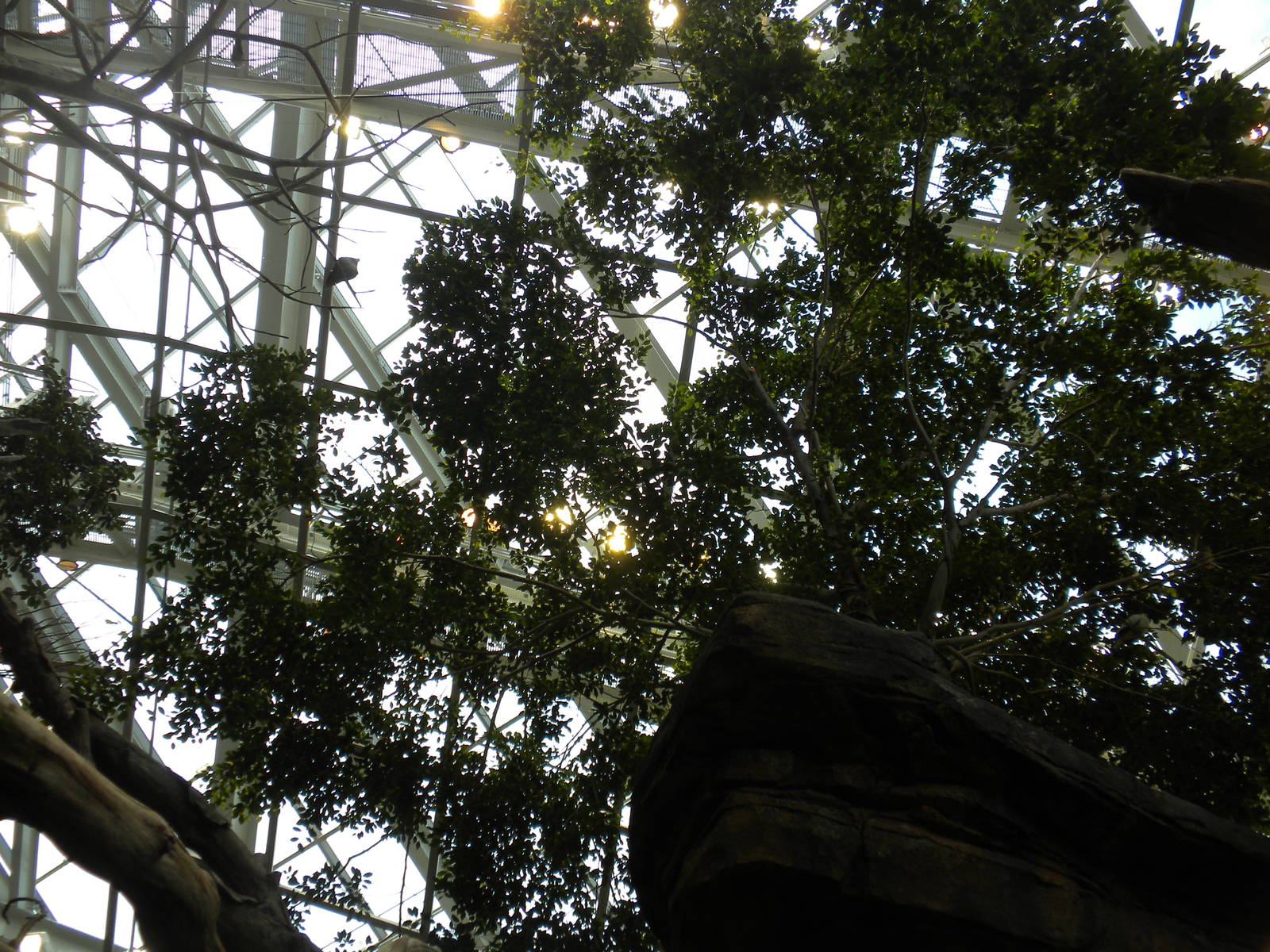 Animal Planet Australia: Wild Extremes