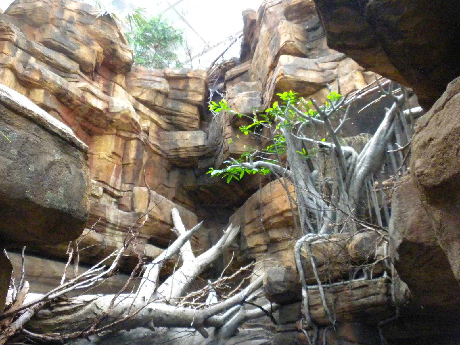 Animal Planet Australia: Wild Extremes