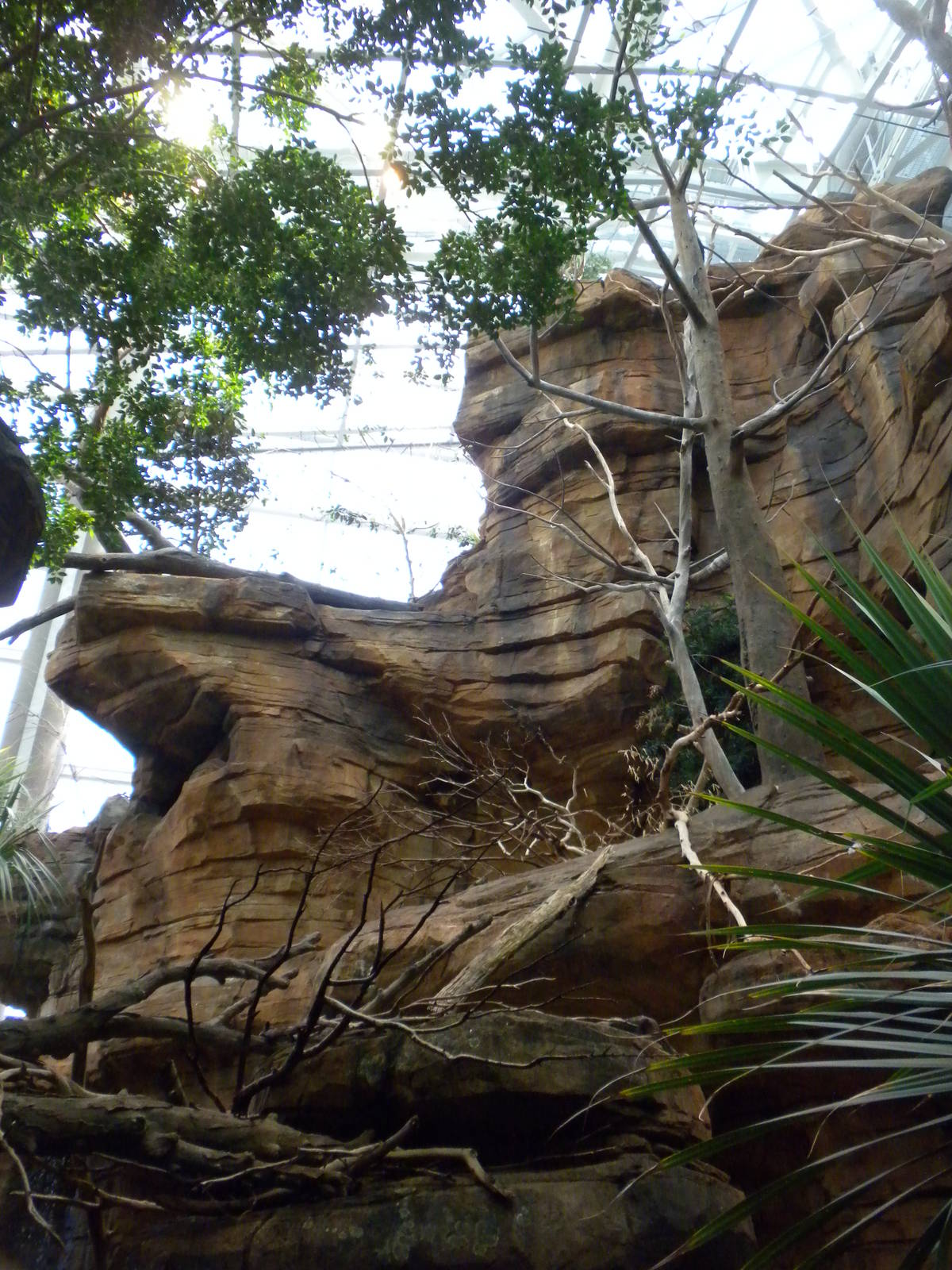 Animal Planet Australia: Wild Extremes