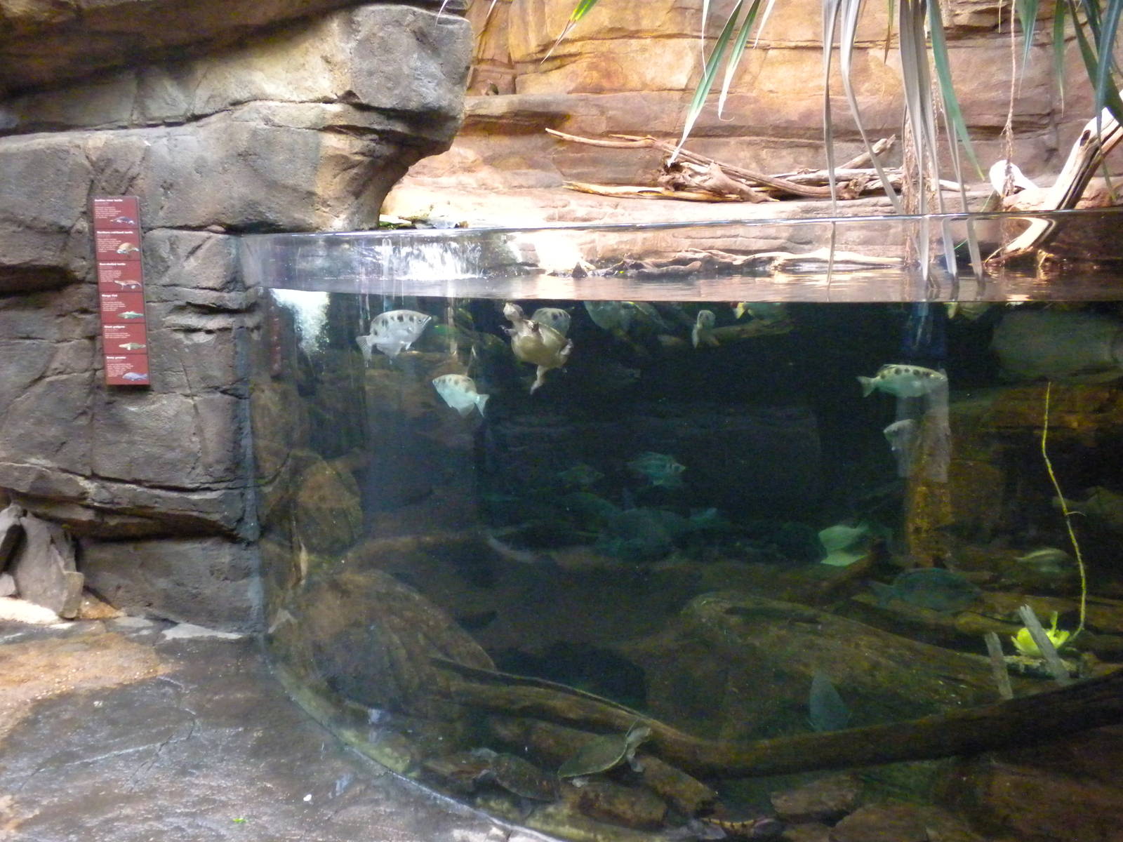 Animal Planet Australia: Wild Extremes