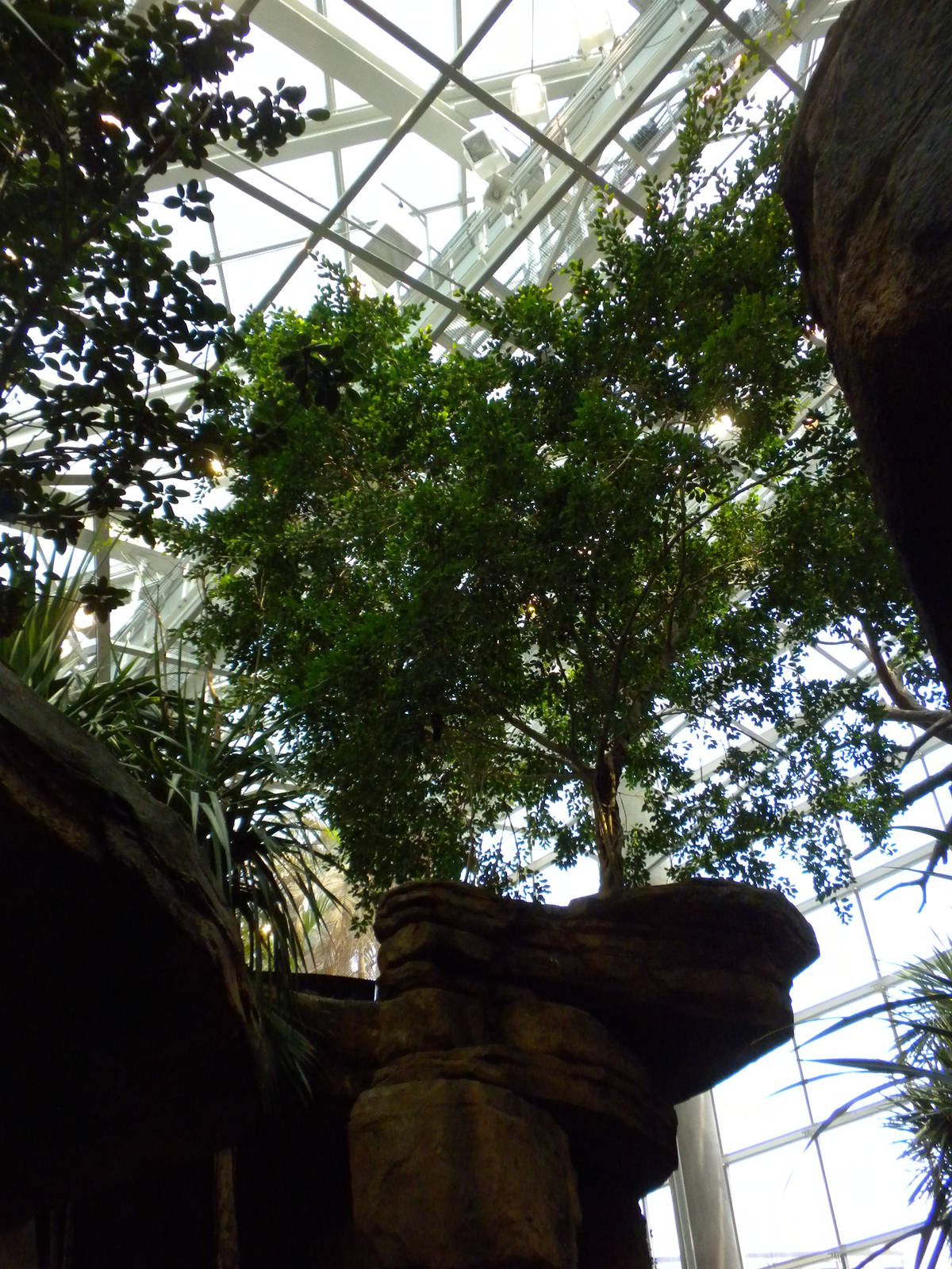 Animal Planet Australia: Wild Extremes