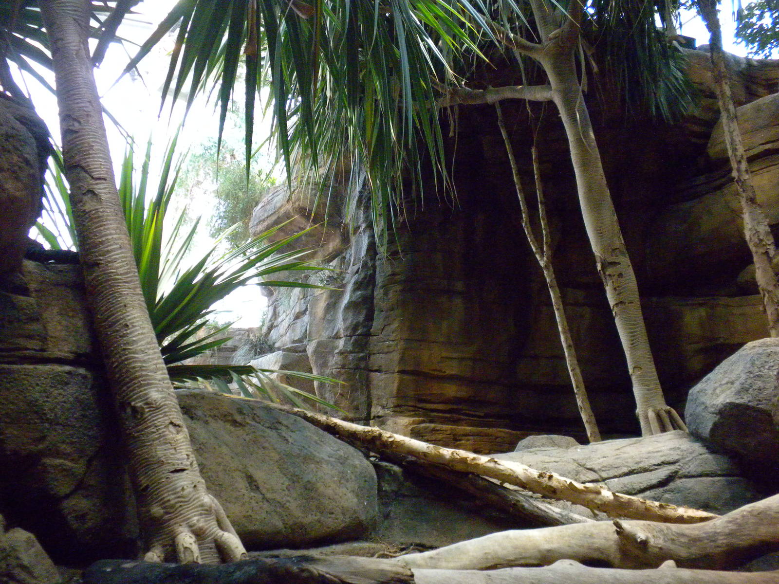 Animal Planet Australia: Wild Extremes