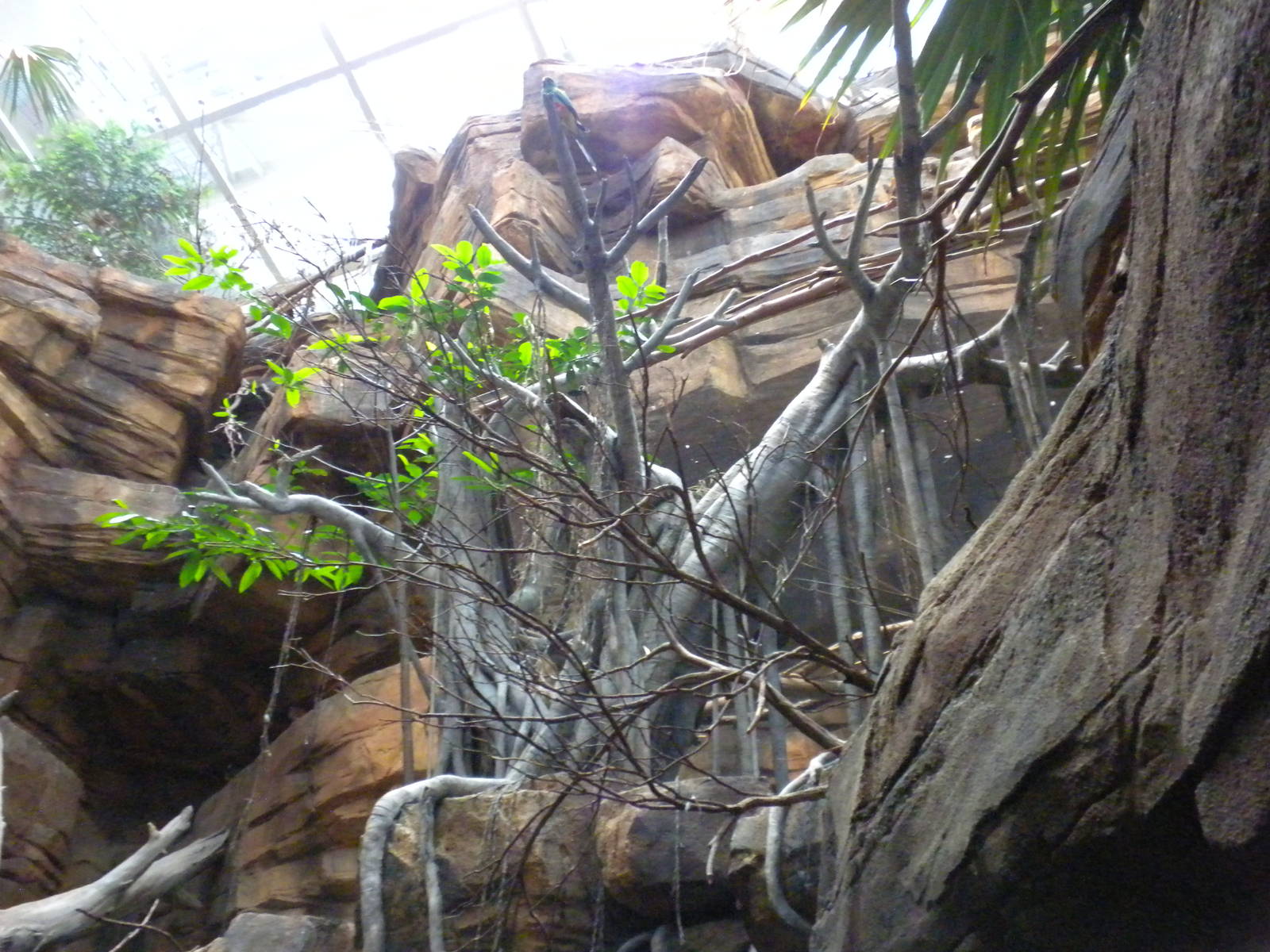 Animal Planet Australia: Wild Extremes