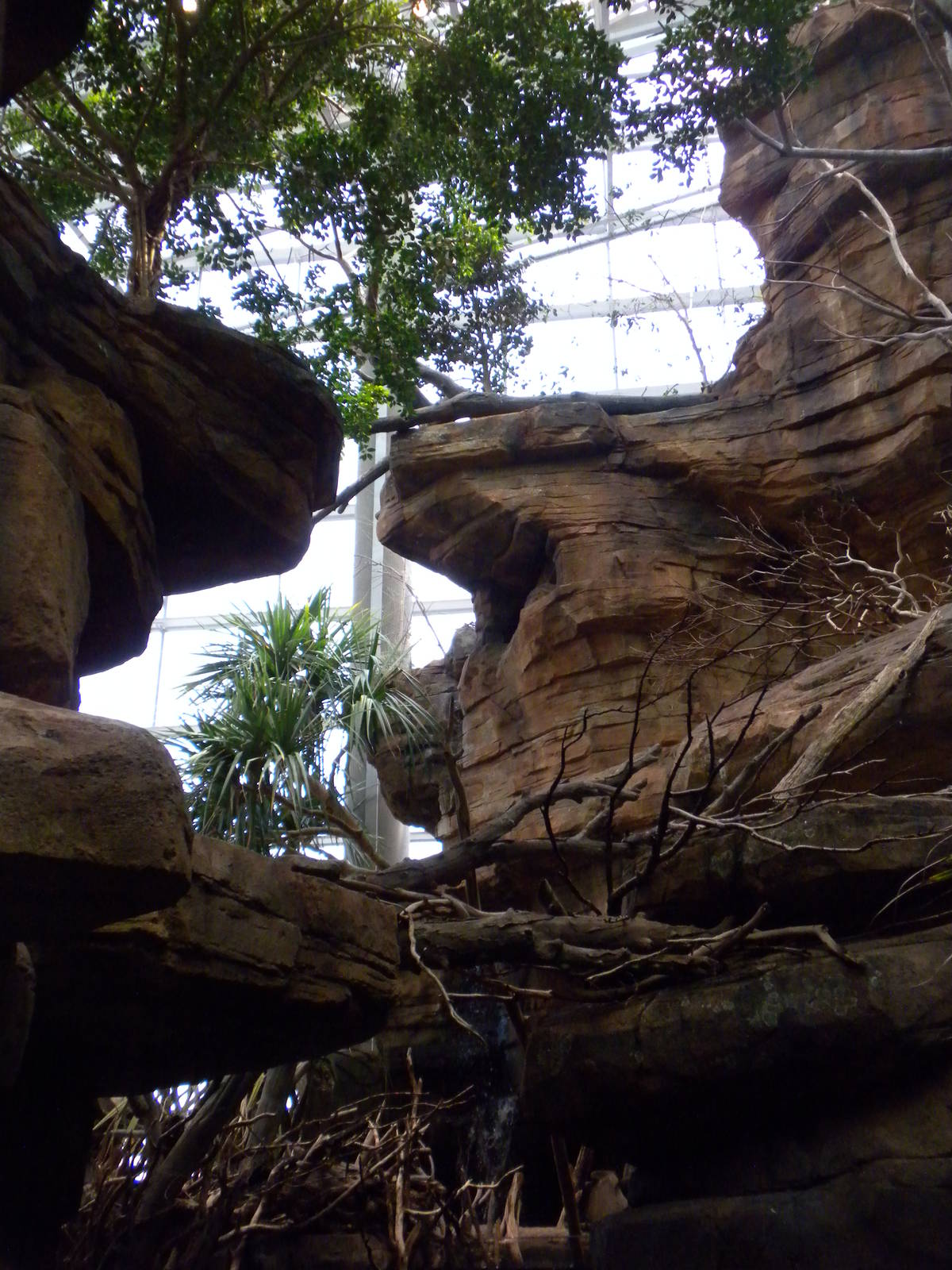 Animal Planet Australia: Wild Extremes