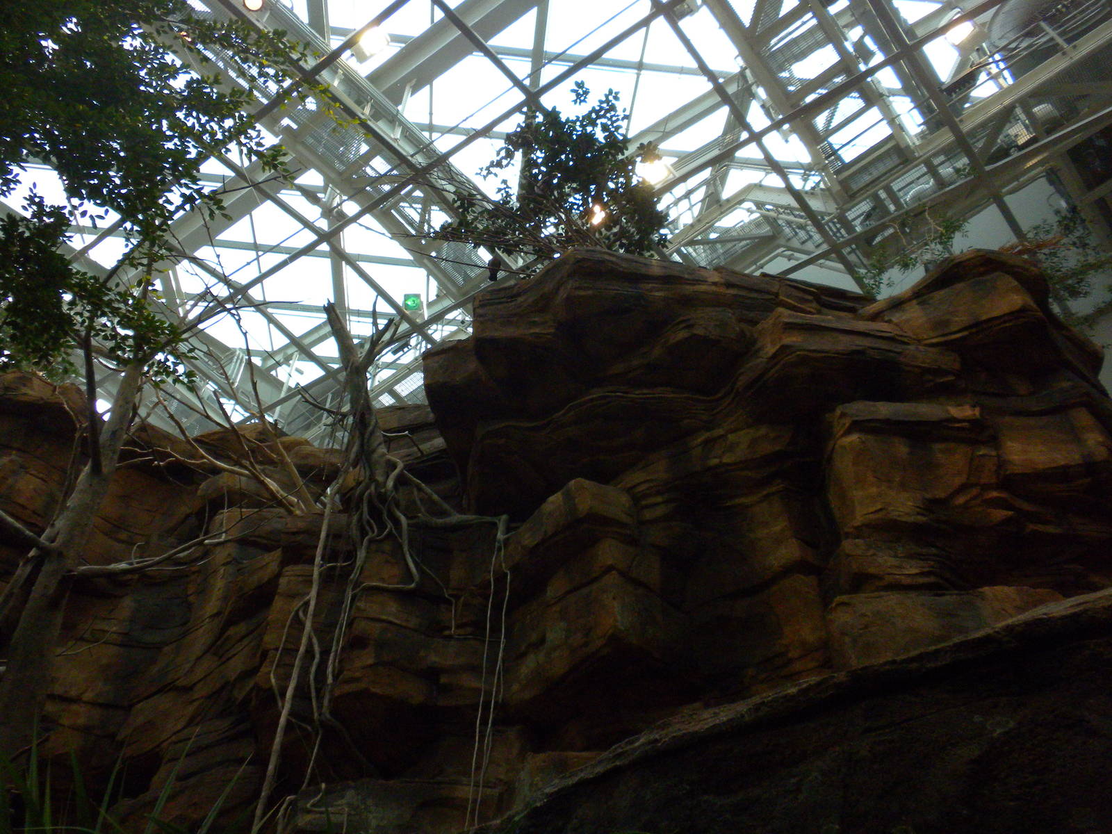 Animal Planet Australia: Wild Extremes