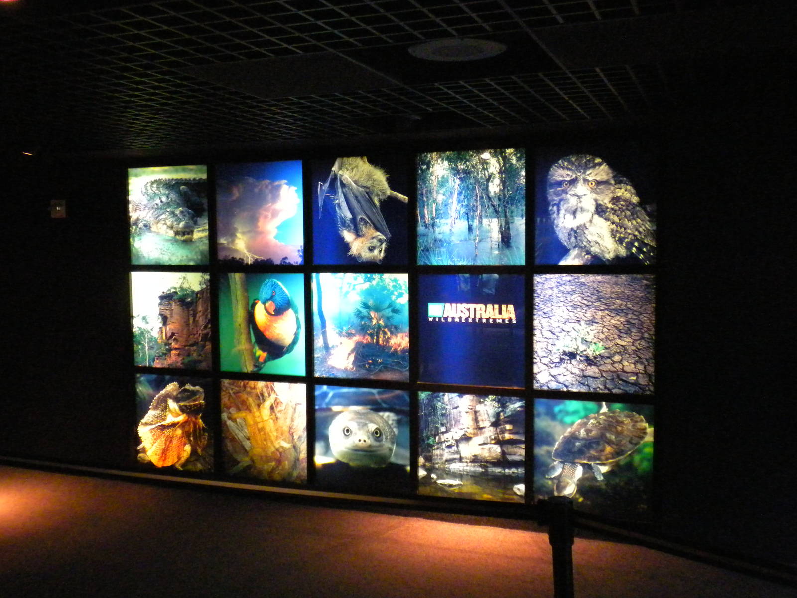 Animal Planet Australia: Wild Extremes