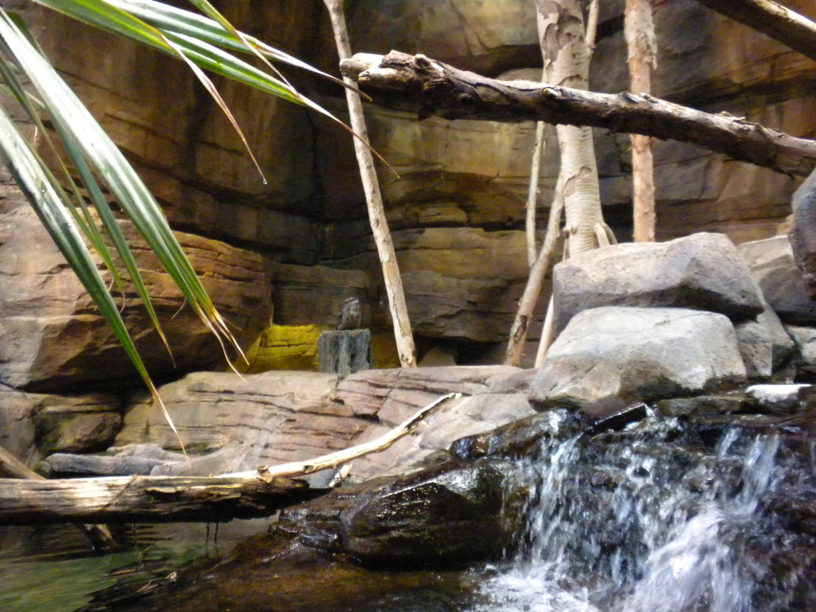 Animal Planet Australia: Wild Extremes