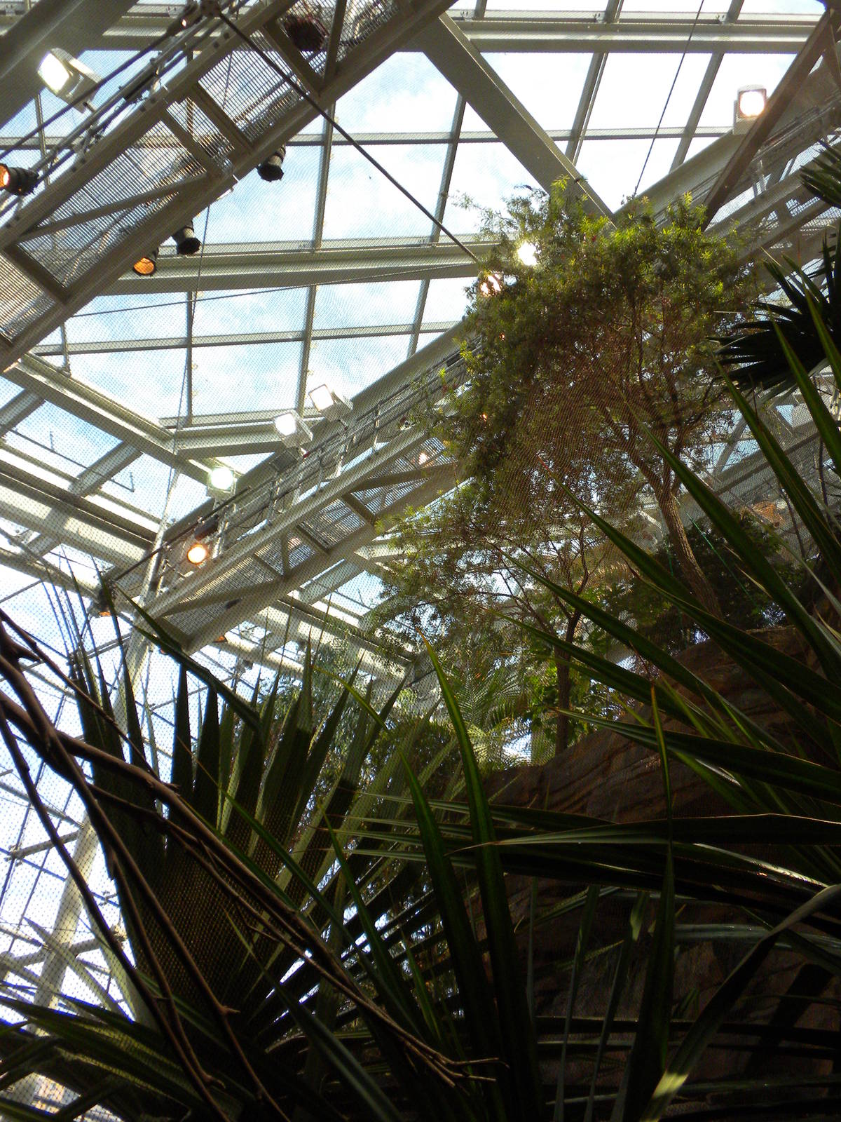 Animal Planet Australia: Wild Extremes