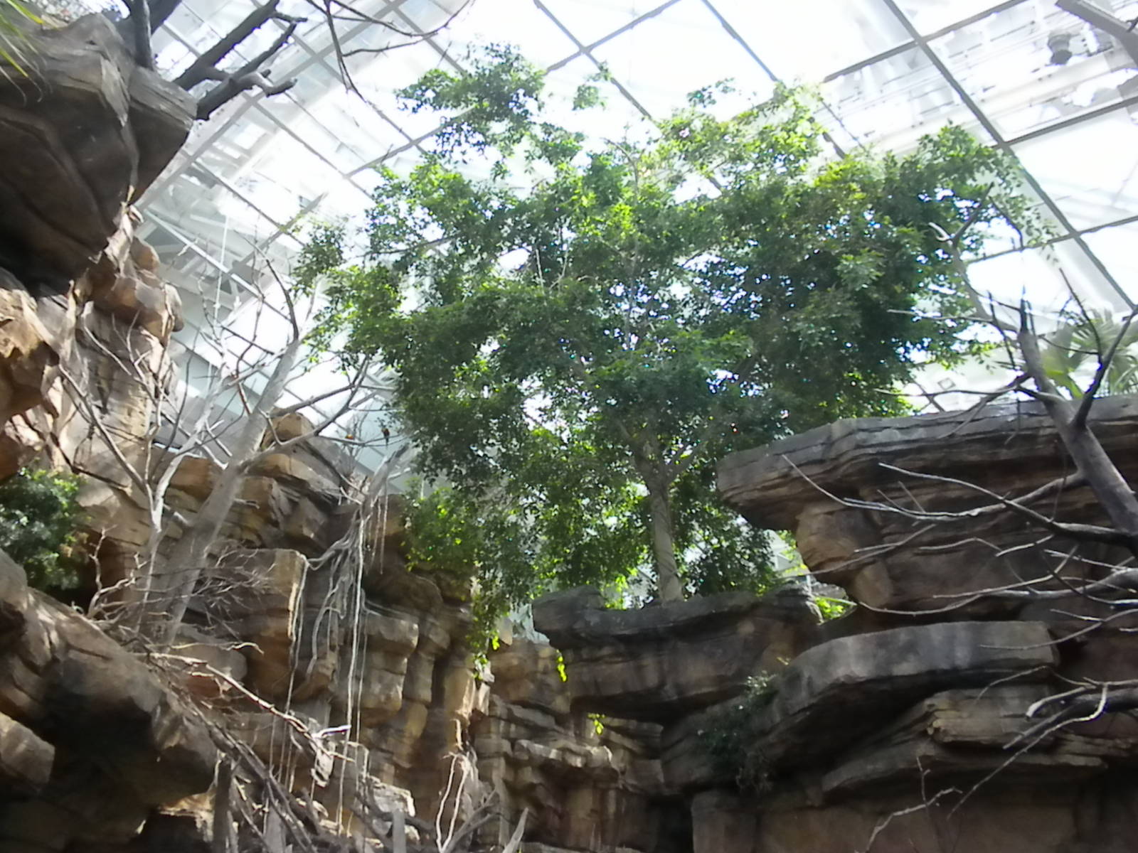 Animal Planet Australia: Wild Extremes