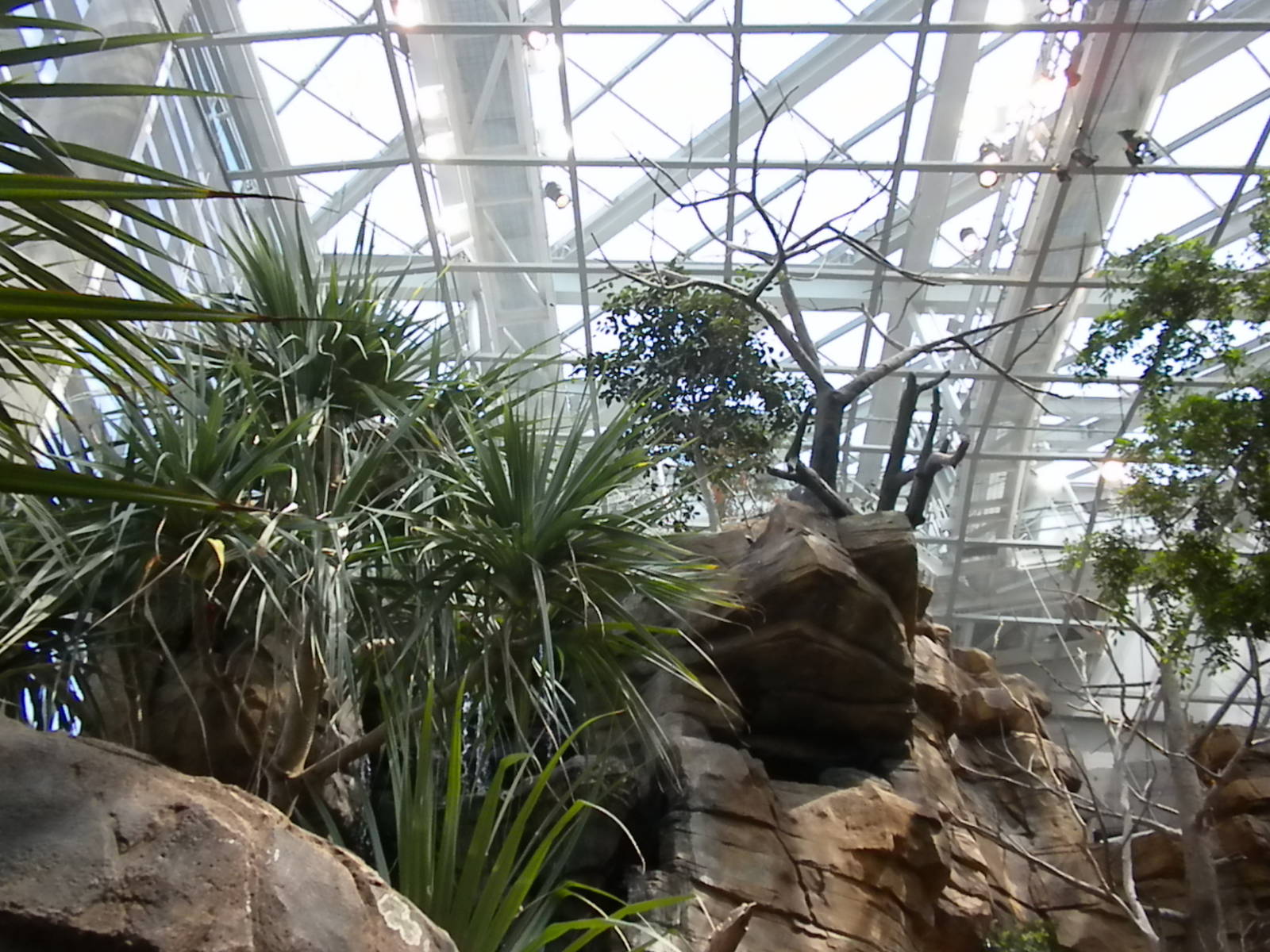 Animal Planet Australia: Wild Extremes