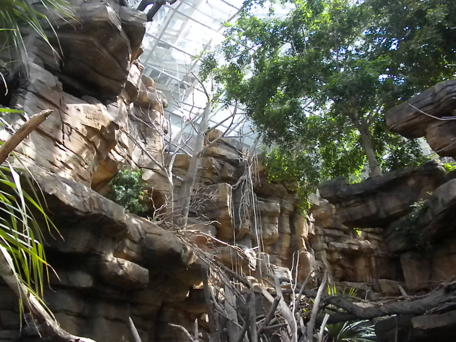 Animal Planet Australia: Wild Extremes