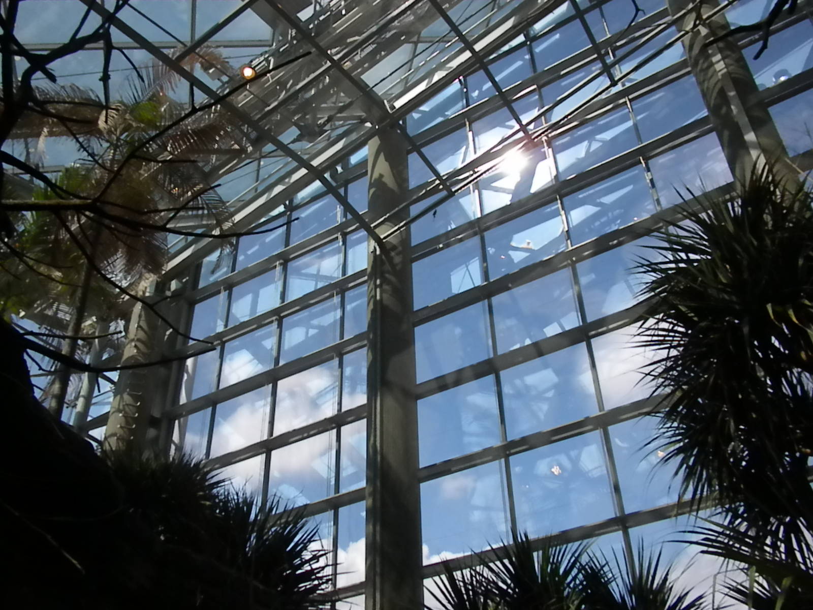 Animal Planet Australia: Wild Extremes