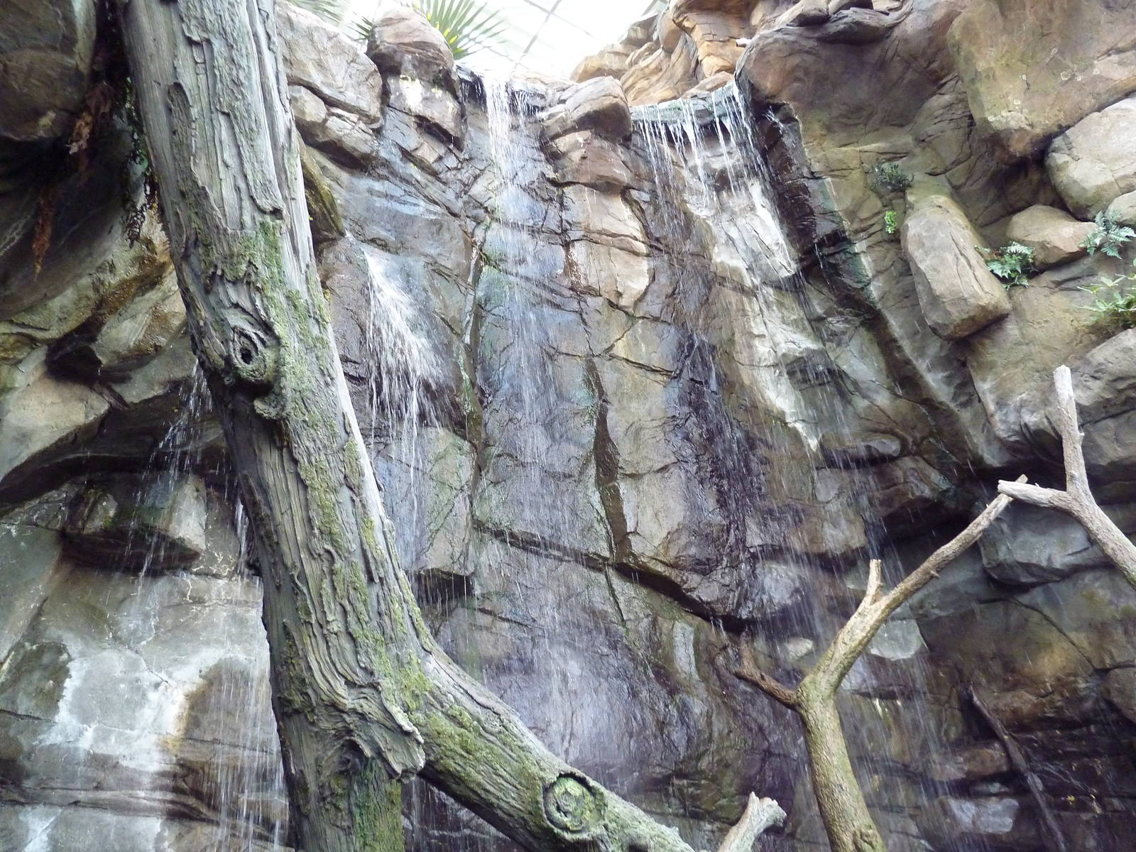 Animal Planet Australia: Wild Extremes