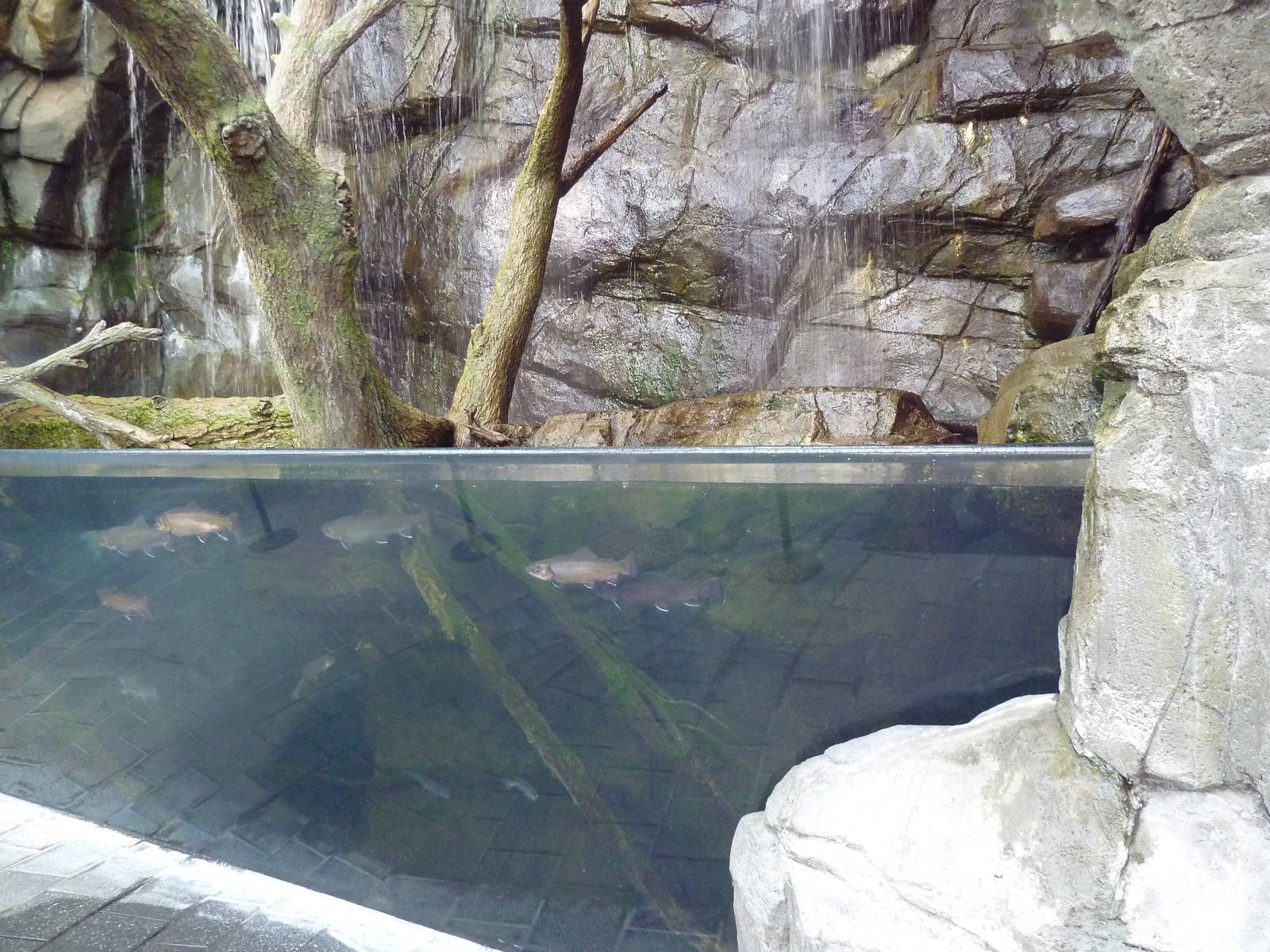 Animal Planet Australia: Wild Extremes