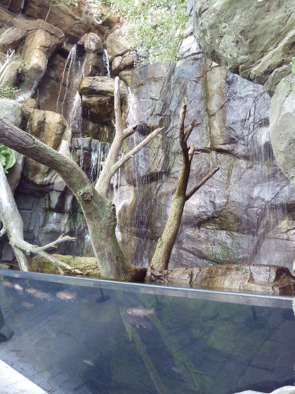 Animal Planet Australia: Wild Extremes