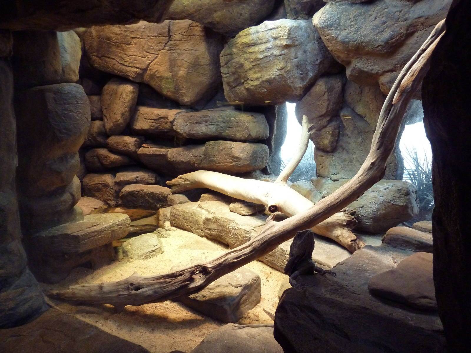 Animal Planet Australia: Wild Extremes